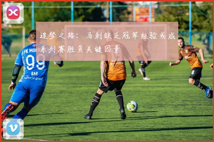 追梦之路：马刺缺乏冠军经验或成系列赛胜负关键因素